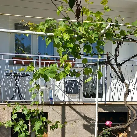 Séjour chez l'habitant Ivancica *