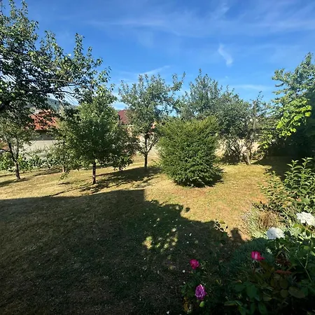 Ivancica טראווניק