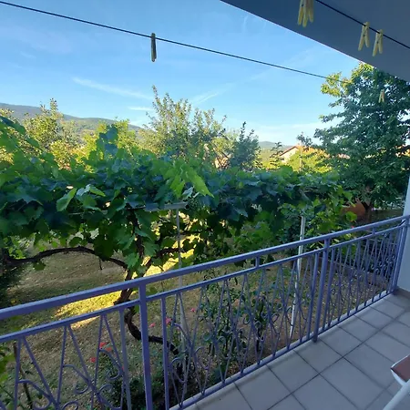 Ivancica * טראווניק